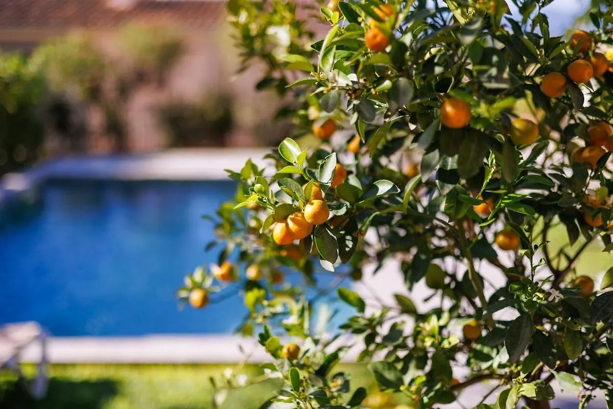 Вилла Newly Renovated House With Pool In Sineu Center Синеу